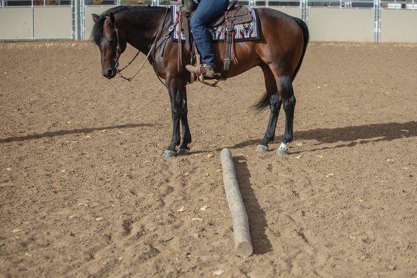 Demonstration of lining up with the pole