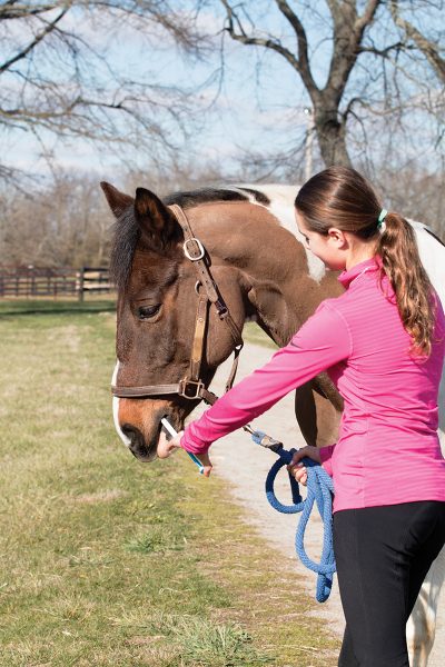 A young girl deworming her horse for spring health