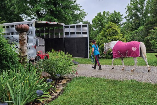 On a beautiful countryside horsekeeping property, a rider loads her pony into a horse trailer