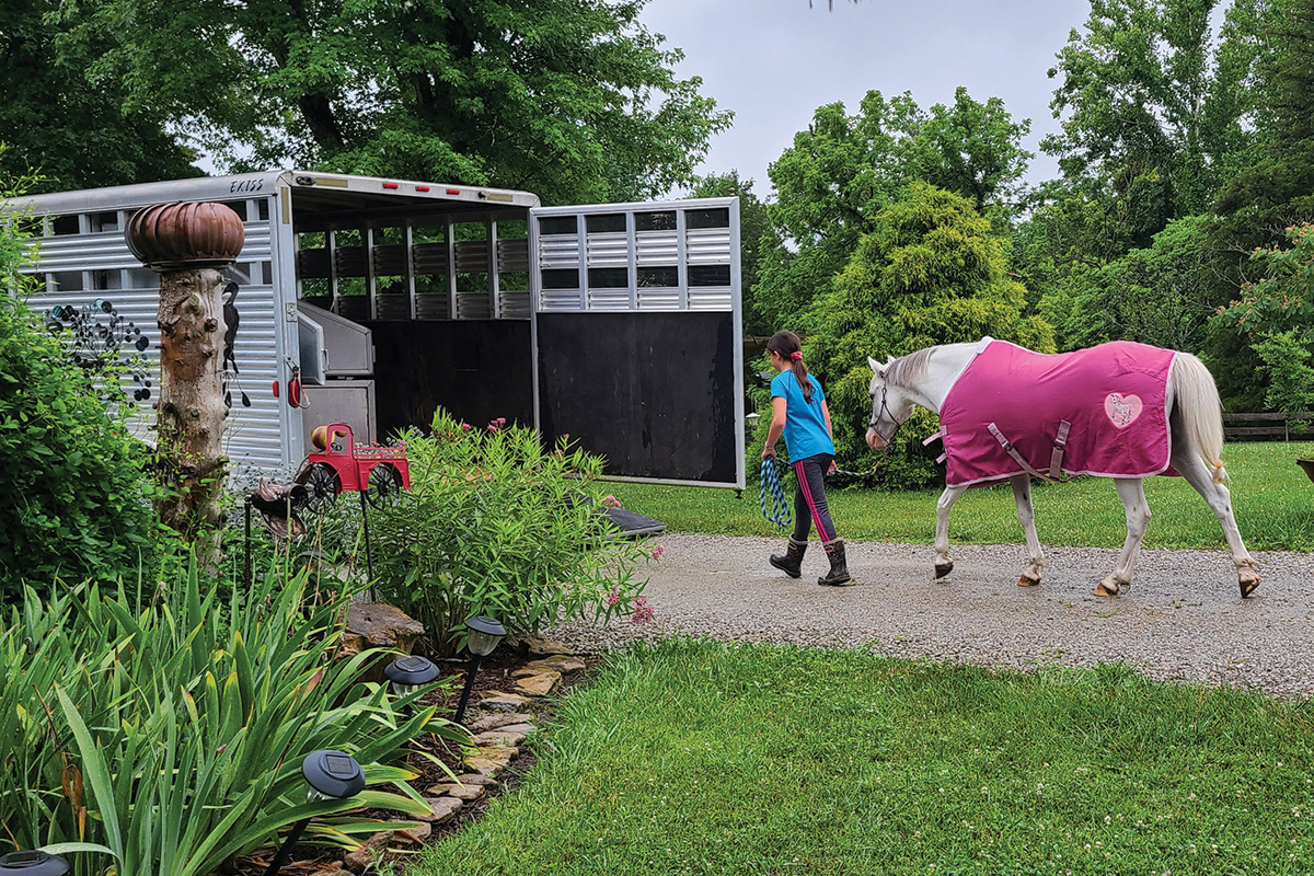 Horsekeeping in the City vs. the Country