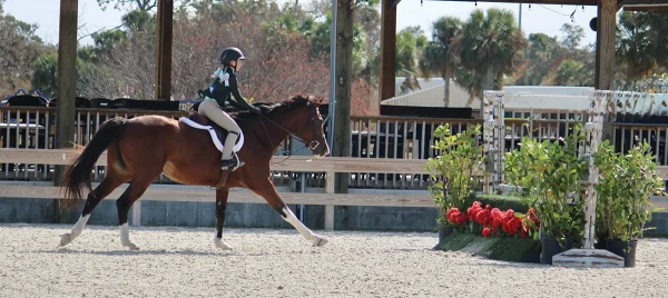 A young rider cantering her horse.