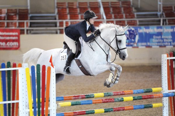 An equestrian competes in jumpers aboard a gray horse. The difference in jumpers from hunters and equitation is that it is time-based rather than judged.
