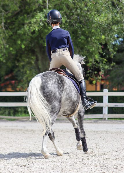 Katie shifts Bitcoin into a left bend and picks up the left lead canter, completing a simple change of lead.