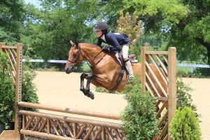 Should You Lease a Horse?