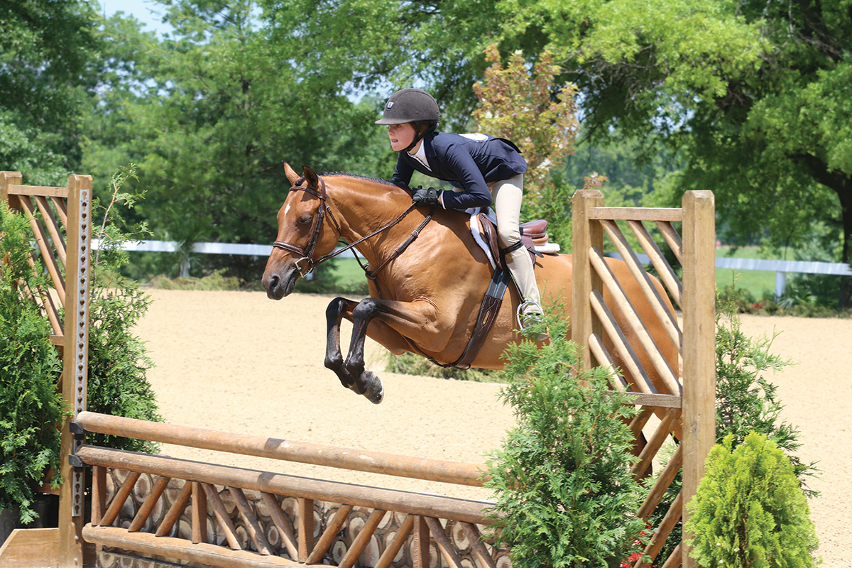 Should You Lease a Horse?