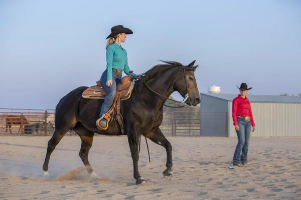 A rider transitions her horse into the lope.
