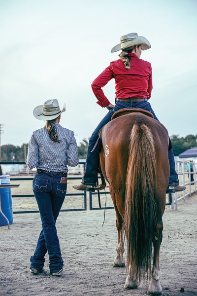 Two barn friends hanging out together at a horse show.