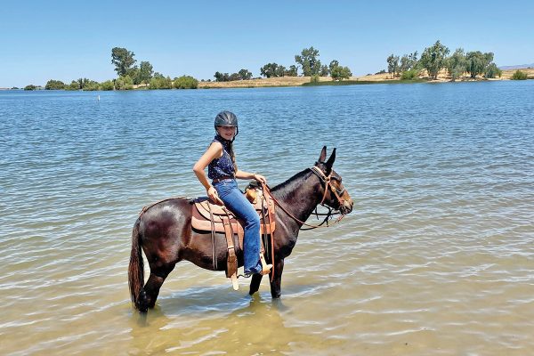 Maysie and Her Mighty Mule