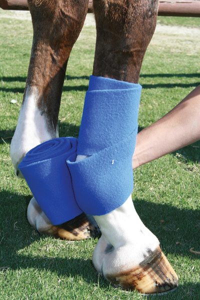 Polo wraps being put on a horse