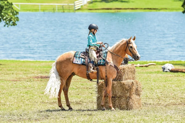 A young rider riding her palomino Quarter Horse.