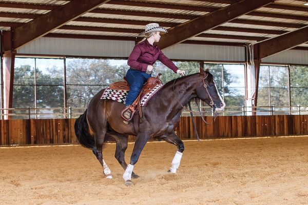 A young rider on a chestnut western horse performs a rollback