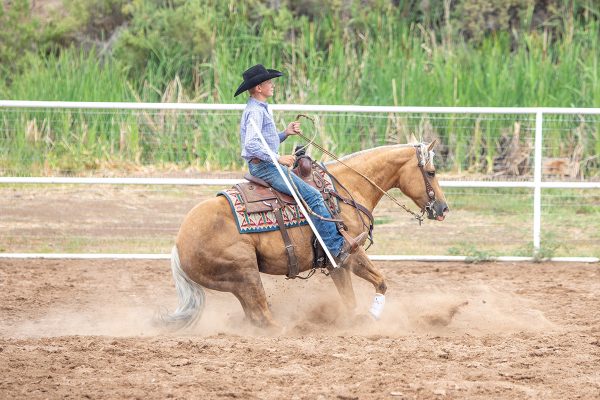 A reining sliding stop