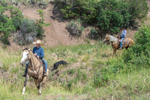 Two young cowboys riding through the mountains with their dogs tagging along