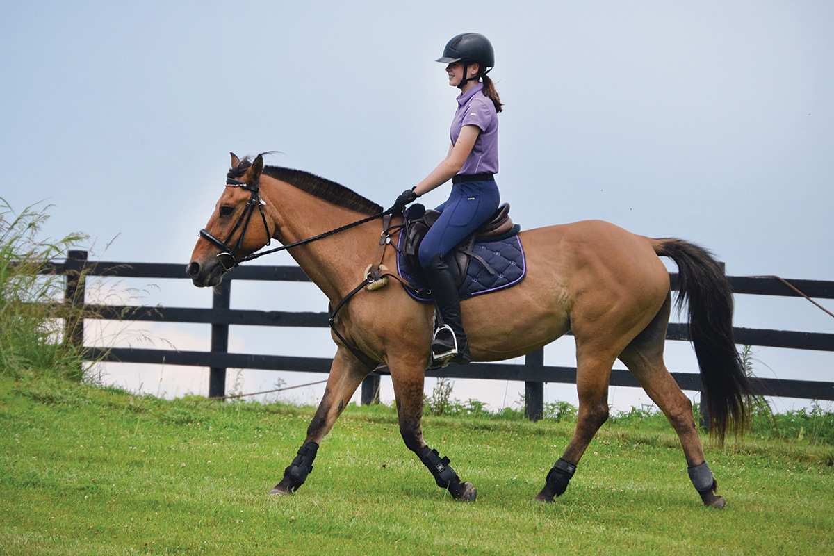 Product Paddock: Equestrian Schooling Attire