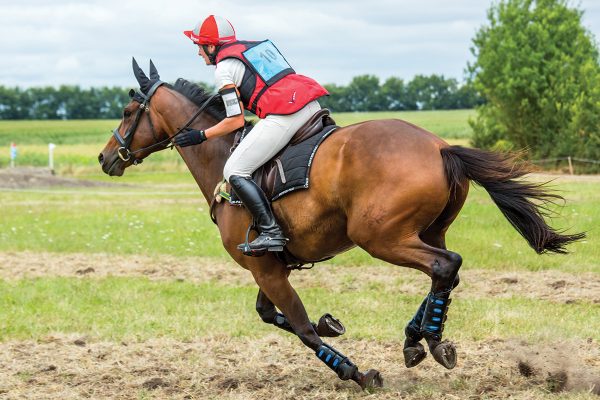 A rider gallops a horse, wearing safety vests