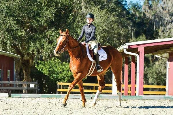 Madison and Toasty track straight across the arena.
