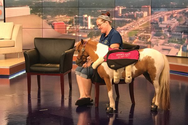 Jessica and Honey on a morning news show.
