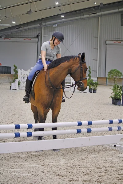 A horse and rider at a riding lesson.