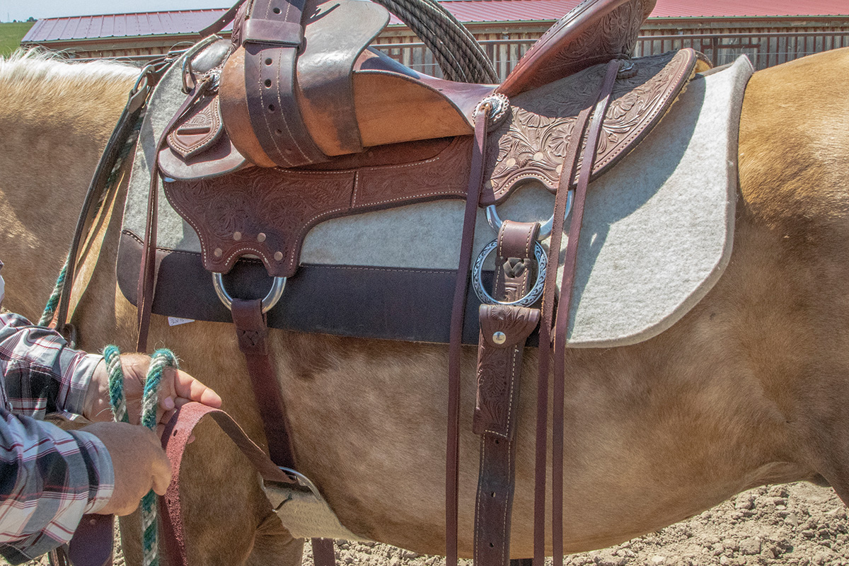 How to Tack Up with a Western Saddle