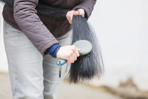 Brushing the tail, which is an important step in grooming