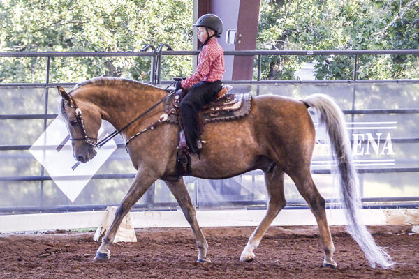 A young rider showing in western dressage