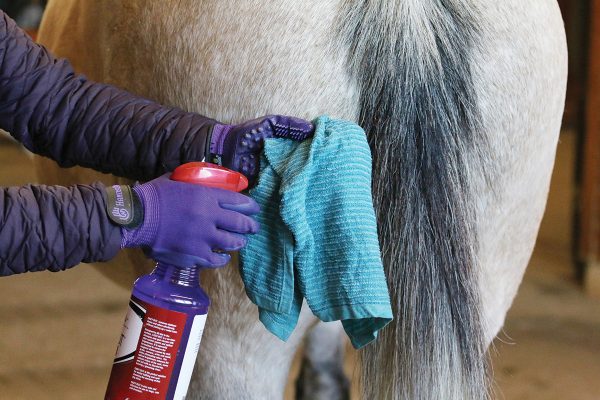 Using spot remover, which can be helpful when bathing your horse in winter