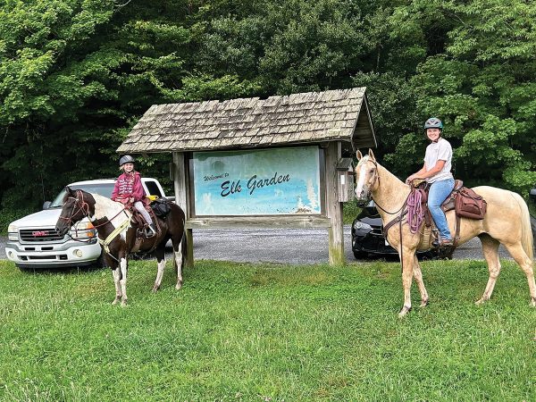 Tootie and her family's horses at Elk Garden in the Grayson Highlands Park.