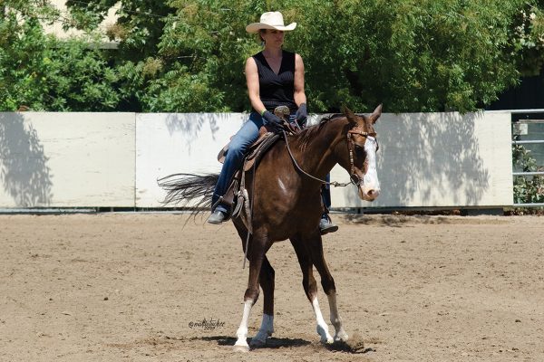 A Western horse doing a spin