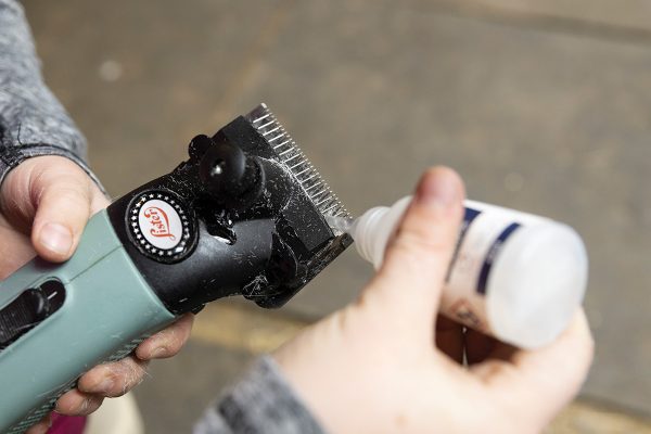 Applying oil to clipper blades