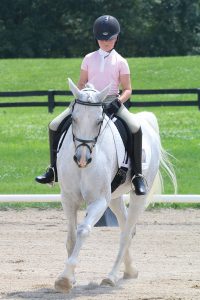 A rider canters her horse