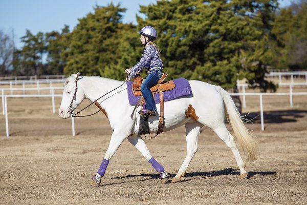 A young rider asks her horse for the western gait of the extended jog