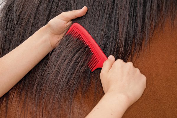 Combing a mane