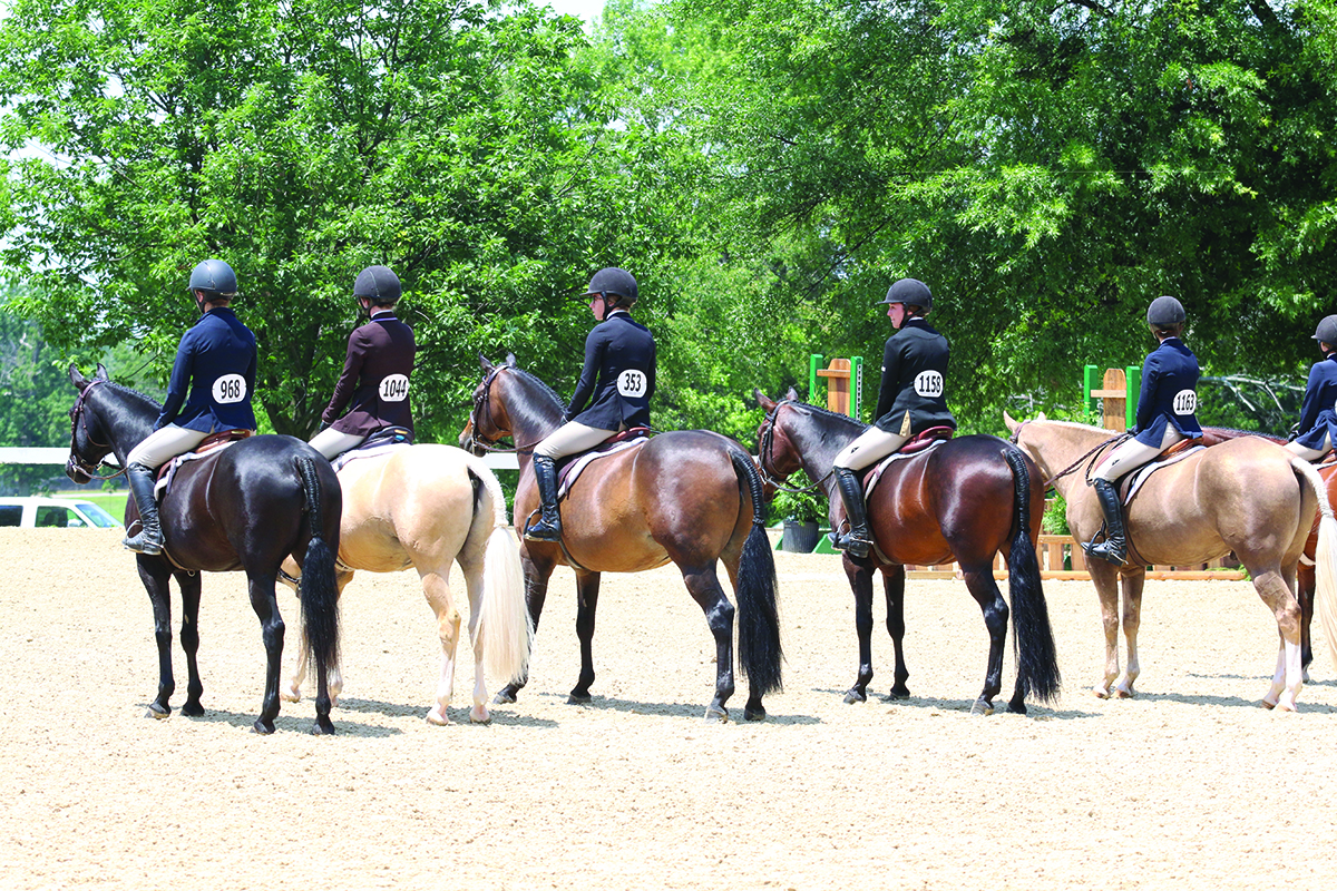 Show Your Skills in Hunter Hack - Young Rider Magazine