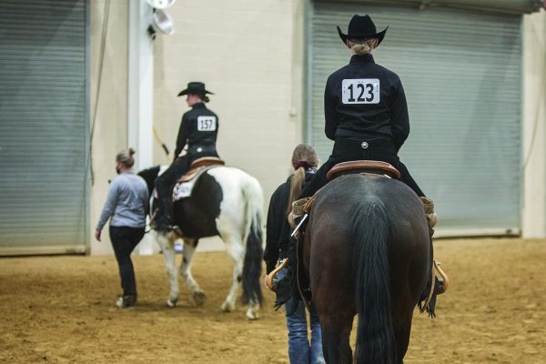 intercollegiate equestrian association