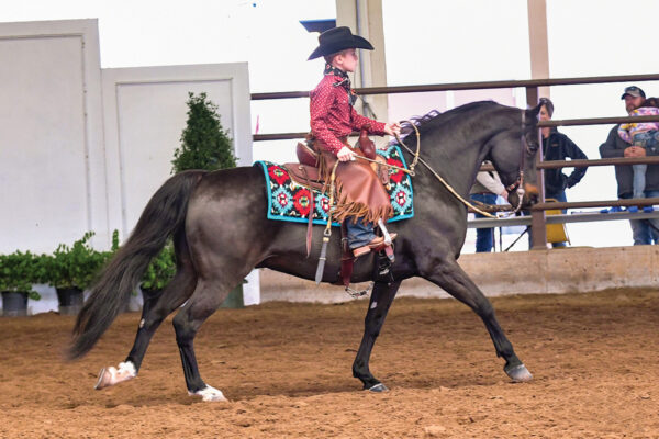 A western class at a show