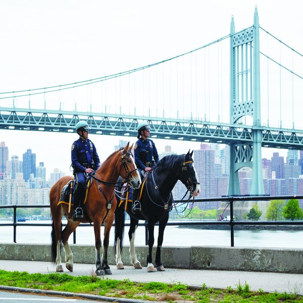 police on horseback