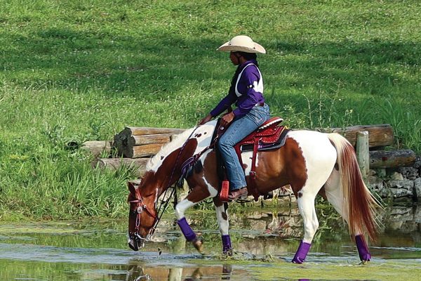 A Western trail ride.