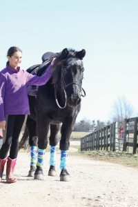 Young equestrian with older horse