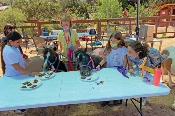 Girls in the Taking the Reins program have a pony party with Miniature Horses