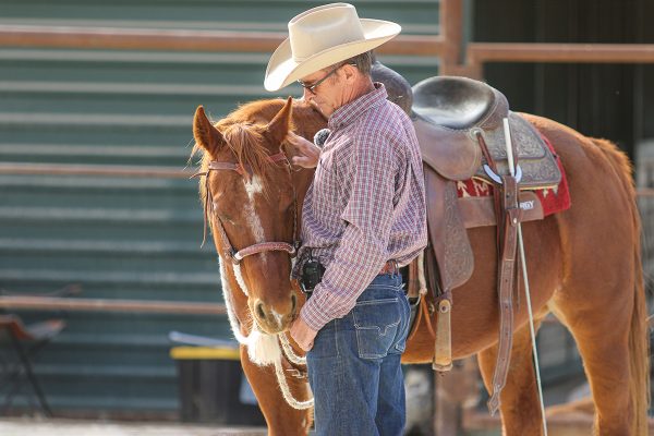 Your Horse’s Worry Cup