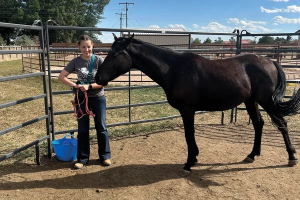 Dagny and Denali at the Wild Rose Mustang Advocacy Group facility in Wellington, Colorado.