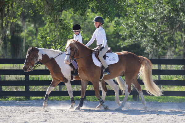 Two riders passing each other on their ponies in an unsafe manner