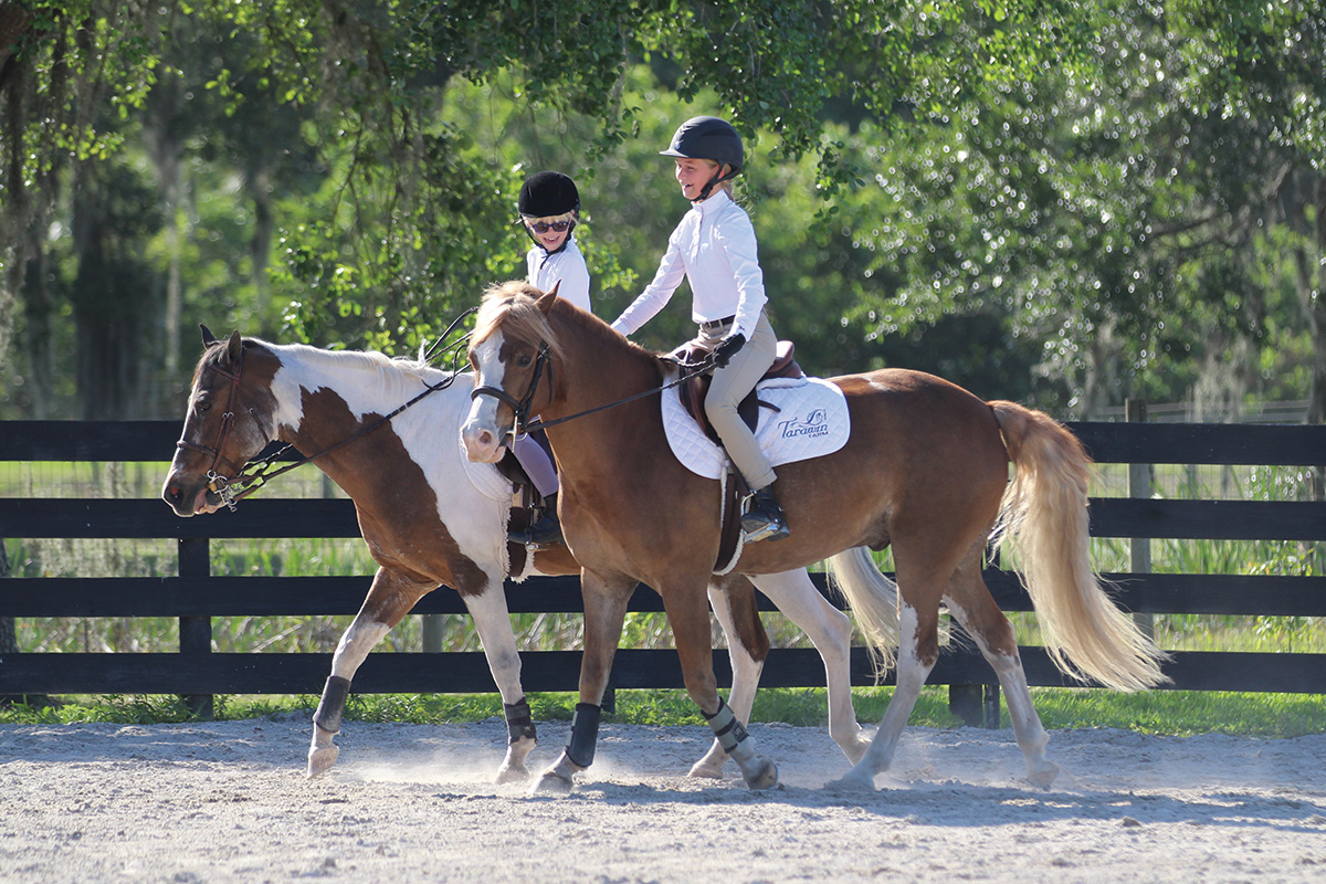 Arena Etiquette Young Rider Magazine
