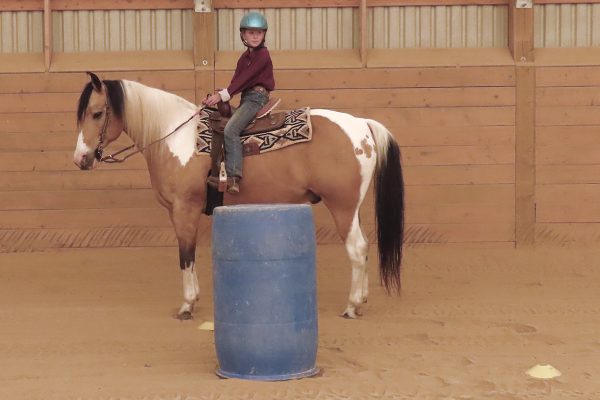Rosie and Chief stopped on the backside point behind the second barrel.