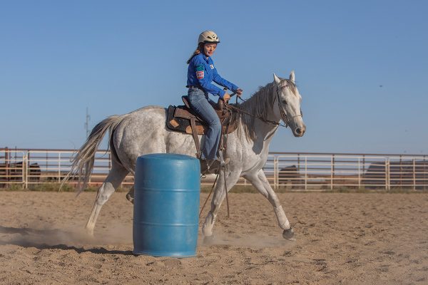 A horse and rider trot around a barrel