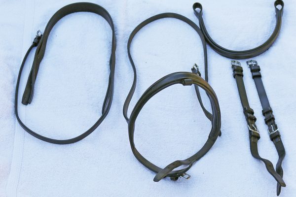 Disassembled bridle