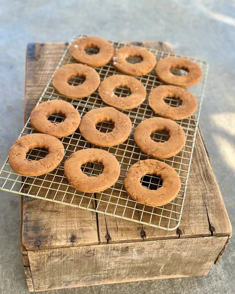 Horse treat donuts on a baking sheet, ready to go in the oven.