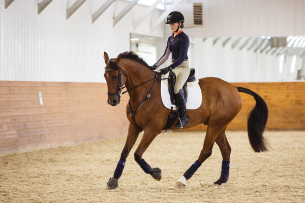A horse and rider riding dressage
