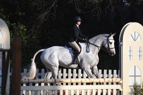 An equestrian rides a gray horse