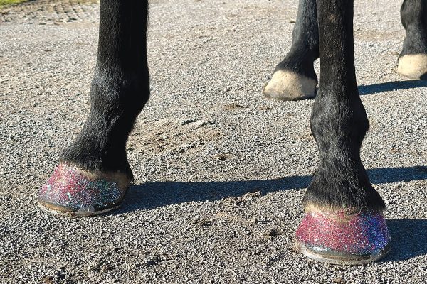 Glitter on a horse's feet.
